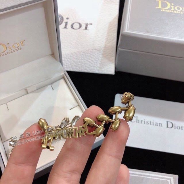 Dior飾品 迪奧經典熱銷款單邊耳釘 DIOR馬眼系列葉子鑽石元素髮夾  zgd1353